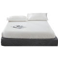 GC Full Fitted Solid Color Bed Sheet Ice Silk Bed Cover Breathable Soft Comfortable Bed Set size specifications.