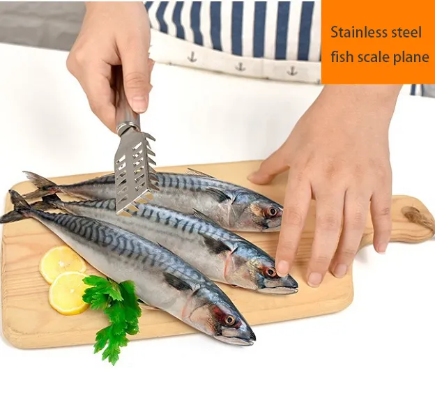 Stainless%20Steel%20Kitchen%20Accessories%20Cleaning%20Fish%20Skin%20Scraping%20Scales%20Planing%20Fish%20Scale%20Remover%20Brush%20Fishing%20Knife%20Cleaning%20Tools%20-%20Image%207