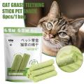 Cat Grass Teeth Grinding Stick Pet Snacks Hairball Removal Mild Hair Row Ready To Eat Cat Baby Cat Teeth Cleaning Sticks. 