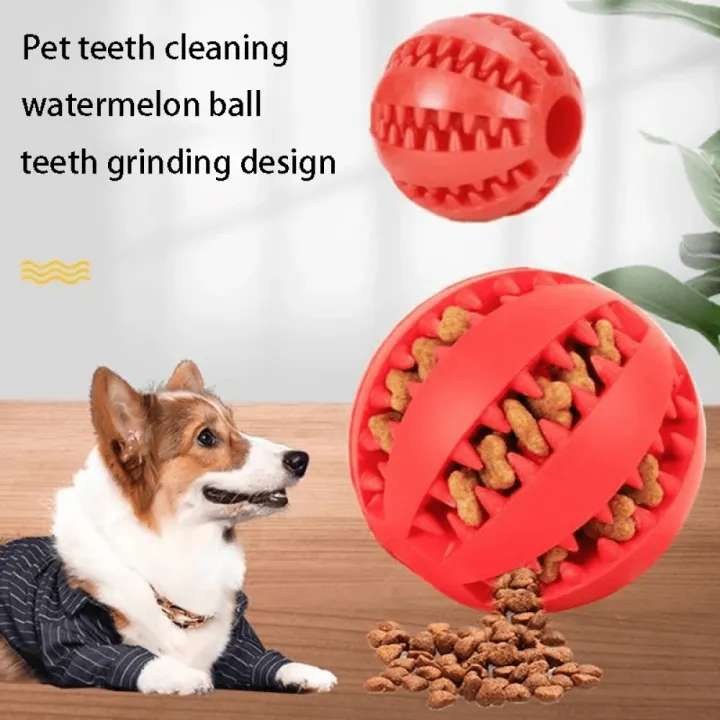 Toy%20for%20Indoor%20Pets,%20Pet%20Dog%20Toy%20Interactive%20Rubber%20Balls%20for%20Small%20Large%20Dogs%20Puppy%20Cat%20Chewing%20Toys%20Pet%20Teeth%20Cleaning%20Indestructible%20Dog%20Food%20Ball%20pet%20accessories%20-%20Image%202