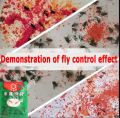 Garden House Killer Bait Poison Lure Drug Powder Anti Flies Insecticide Pest Control Killing Fly Trap Attractant. 
