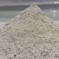 Conch Powder Shongkho Gura 100gm.