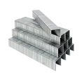 Staples Pin 1.2x10mm. 