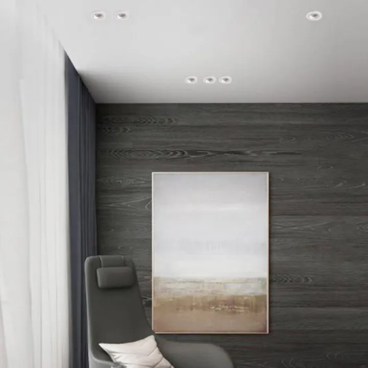 2.5%20Inch%20Downlight%20Wall%20Living%20Room%20Home%20Background%20Perforated%20LED%20Spotlight%20-%20Image%208