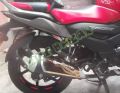 t.v.s Raider 125cc silencer Exhaust metal cover golden colour. 
