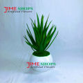 Artificial Rubber Cactus Plant In Small Plastic Tob 6 inc For Decoration. 
