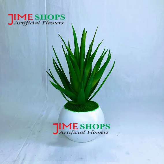 Artificial%20Rubber%20Cactus%20Plant%20In%20Small%20Plastic%20Tob%206%20inc%20For%20Decoration%20-%20Image%204