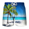 Coconut Tree Graphic Surfing Board Shorts Pants Men 3D Print Tropics Sea Island Beach Shorts Hawaii Swimsuit Ice Shorts Swimwear.
