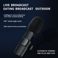 K9 Wireless Microphone (Type c).
