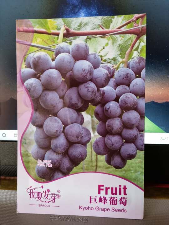 intake pack black grape seeds 15 pcs | Daraz.com.bd