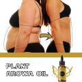 Eelhoe Ginger Essential Oil Firming Slimming Shaping Liquid Belly Sculpting Essential Promote Metabolism Full Body Massage Oil. 