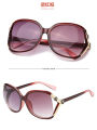 Stylish Sunglasses for Women. 