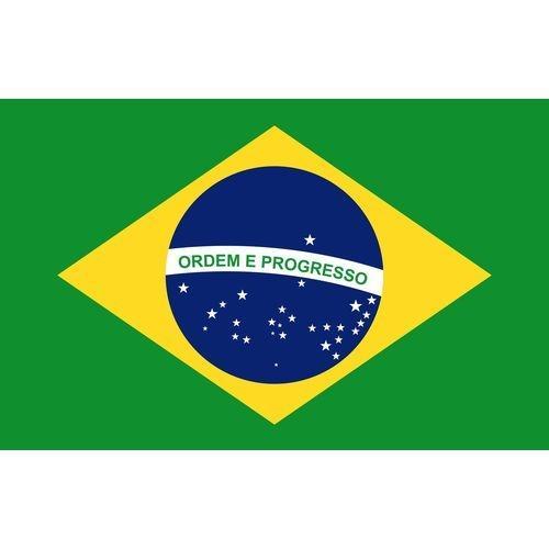 Brazil%20National%20Flag%20-%208%20x%203.5%20Feet%20(Local)%20-%20Multi%20Color%20-%20Image%202