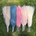 15/30pcs Artificial Pampas Grass Bouquet for Wedding Party Home Bedroom Decor Simulation Dried Flower Reed DIY Craft Plants. 