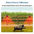 Outdoor Solar Motion Sensor Alarm with Remote Control. 