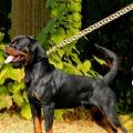 Stainless Steel Dog Chain Leash Super Strong Dog Metal Durable Silver Traction Rope Chain Solid For Pet Jewelry Accessories.