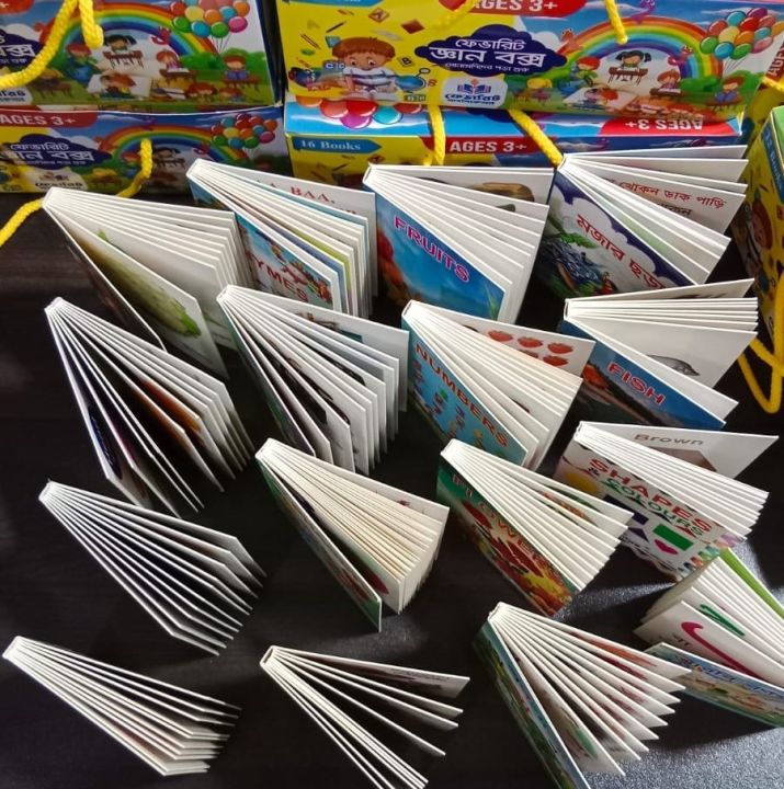 16 PCS Book Kids Learning Box, Starting Pre School Learning For Age 3+(Which is helpful in the development of children's knowledge and talents.)