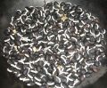 Dry (sim seeds ) Sim Seeds -500gm. 