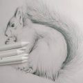 6 PCS Blending Stumps and Tortillions, Sketch Drawing Tools, Paper Art Blenders for Student Sketch Drawing. 