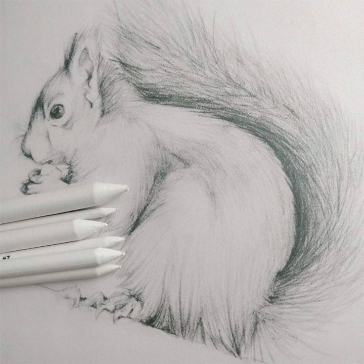 6%20PCS%20Blending%20Stumps%20and%20Tortillions,%20Sketch%20Drawing%20Tools,%20Paper%20Art%20Blenders%20for%20Student%20Sketch%20Drawing%20-%20Image%202