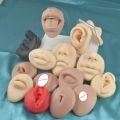 1PC Body Model Silicone Ear Nose Model Professional Practice Piercings Tools Body Parts Jewelry Display Stand Teaching Tool. 