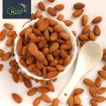 Almonds Nuts/Kath Badam -1Kg. 