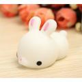 Rabbit Shape Small Squishy Toy.