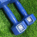 Blue Dumbbell 5 KG.