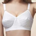 High Quality New Soft Cotton Full Chicken Women Comfortable Bra - Bra.