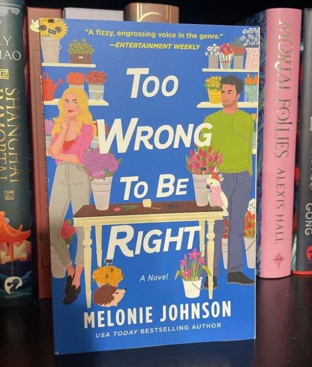 Too%20Wrong%20to%20Be%20Right%20By%20Melonie%20Johnson%20-%20Image%202