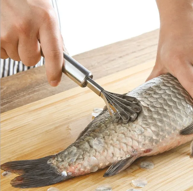 Multifunctional%20Coconut%20Meat%20Grinder%20Slicer%20Coconuts%20Scraper%20Collecting%20Coconut%20Removal%20Meat%20Tool%20Stainless%20Steel%20Planer%20-%20Image%208