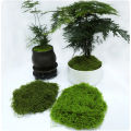 1PC DIY Artificial Fresh Green Moss Lawn Micro Landscape Silk Moss Wedding Centerpieces Garden Terrariums Decoration Fake Moss Natuo. 