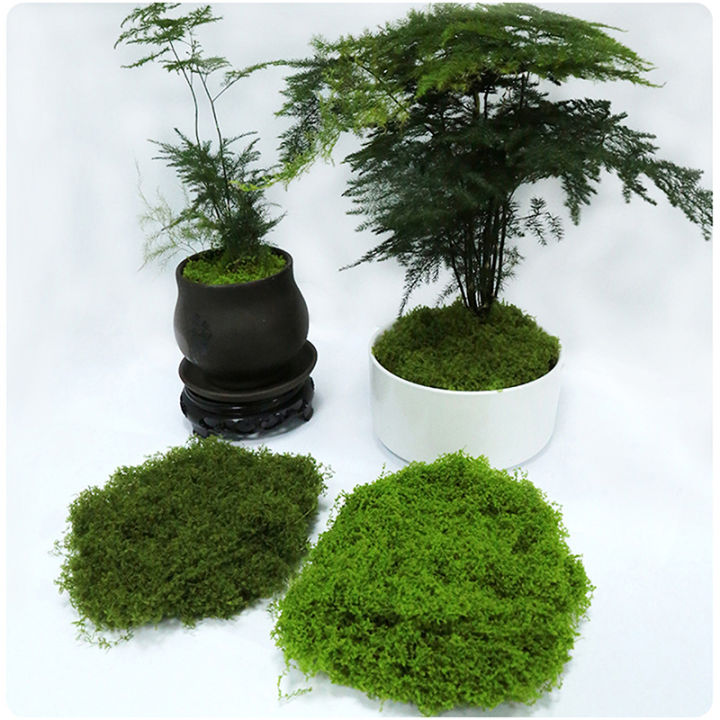 1PC%20DIY%20Artificial%20Fresh%20Green%20Moss%20Lawn%20Micro%20Landscape%20Silk%20Moss%20Wedding%20Centerpieces%20Garden%20Terrariums%20Decoration%20Fake%20Moss%20Natuo%20-%20Image%207