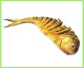 -Shutki- Nona Elish Dry Fish-600gm big size- 1 Pis. 