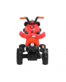 RFL-Jim & Jolly Pikko Rechargeable Tricycle – Black & Red | Electric Kids Bike 6V Battery Ride | Baby Tricycle for 2–5 Years Boys & Girls.