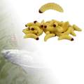 50 Pieces 1inch Maggot Baits Bread Worm Fishing Lure Plastic Fresh Water Fishing Bait. 