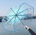 Transparent Flower Design Folding Women Fashion Umbrella Pink.