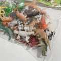 Animal Kingdom Set for Kids -(Multicolor).