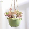 Hanging Flowerpot DIY Cartoon Resin Flower Pot for Balcony Indoor Courtyard.
