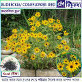 Rudbekia Flower Seed - 25/50 pcs Seed Rudbekia Hirta Coneflower Seed - রুদবেকিয়া ফুলের বীজ.