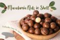 Nuttish Land Dry Roasted Salted Macadamia Nuts -2000 gms 2kg. 