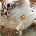 Lace Dog Bandana Printed Soft Collar Dress Up Pet Neckerchief Supplies Cat Scarf Floral Ribbon for Chihuahua Puppy Kitten Leash.