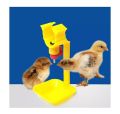 Chicken Dringking Water Pot 1pcs. 