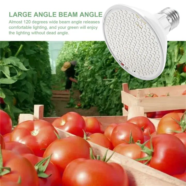 200%20Grow%20Light%20Bulb%20Full%20Spectrum%20for%20Indoor%20Plants%20-%20Image%202