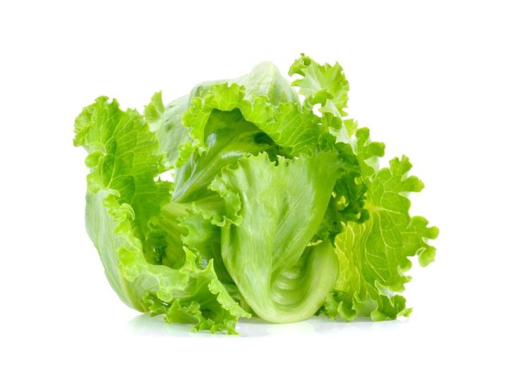 All%20season%20Lettuce%20leaf%20seed%2040pice%20+%20gift%20-%20Image%202