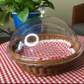 【Dila Daily Necessities Recommendation】Bamboo Woven Chopsticks Frame with Lid Household Living Room round Nordic Acrylic Creative Woven Basket. 