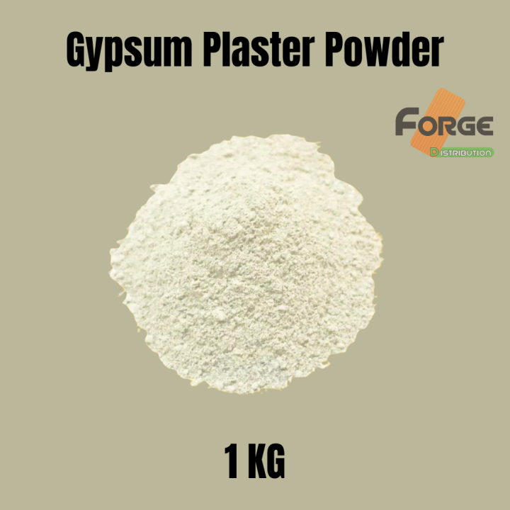 Gypsum Powder/ Plaster Of Paris For Art and Sculpture, Creative Projects, Dental Modeling and Medical Casting