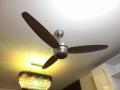 Pak Elegance 56" Ceiling Fan- Made in Pakistan.