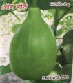 F1 Bulb Type Bottle Gourd Seed. 