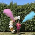 Baby Gender Disclosure Reveal Powder Spray Shower Powder Baby Gender Reveal Powder Spray By Color Blue And Pink Gender Reveal.